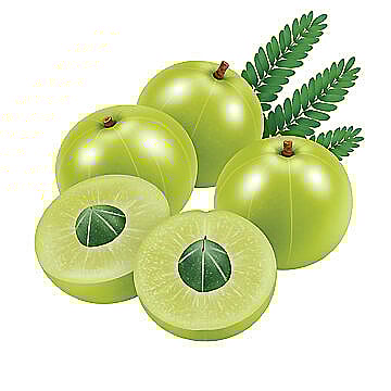 நெல்லிக்கனி