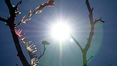 நிழலின் அருமையும் வெயிலின் பெருமையும்!