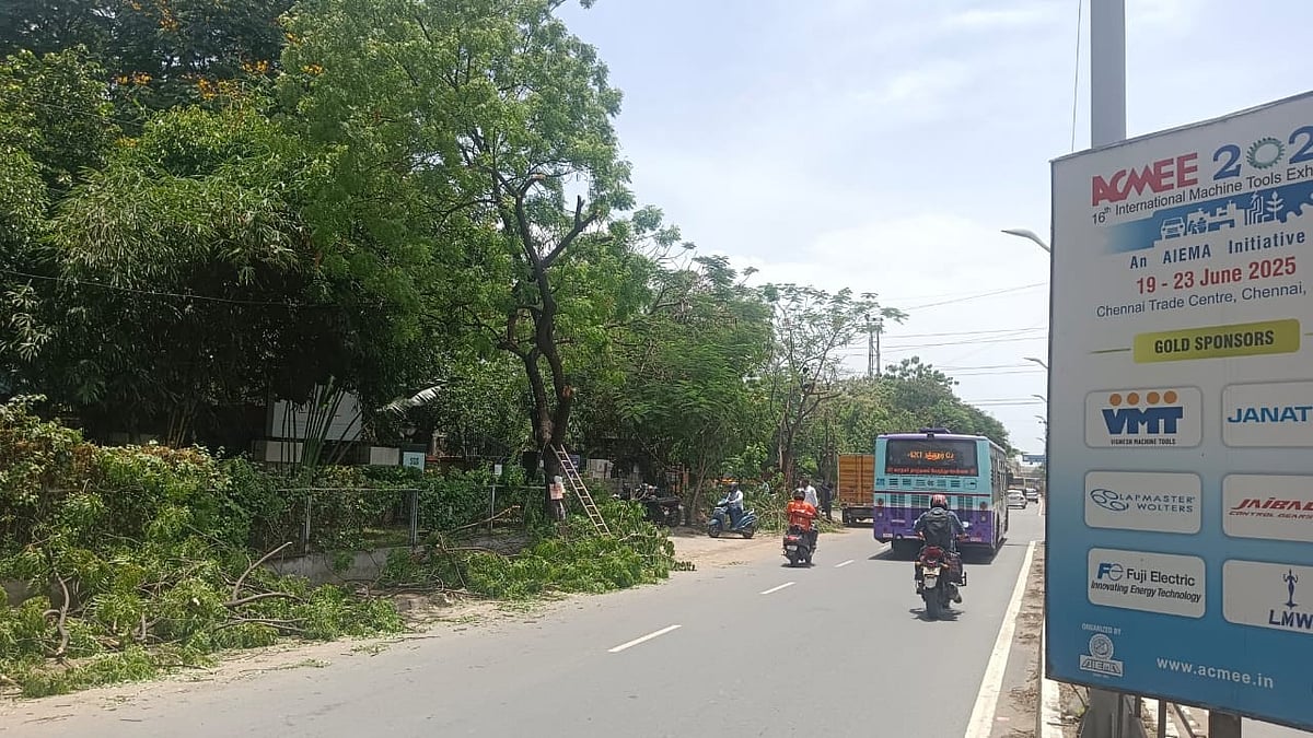 அம்பத்தூர் தொழிற்பேட்டையில் இரண்டாவது முதன்மைச் சாலையில் தரிக்கப்பட்ட மரங்கள்.
