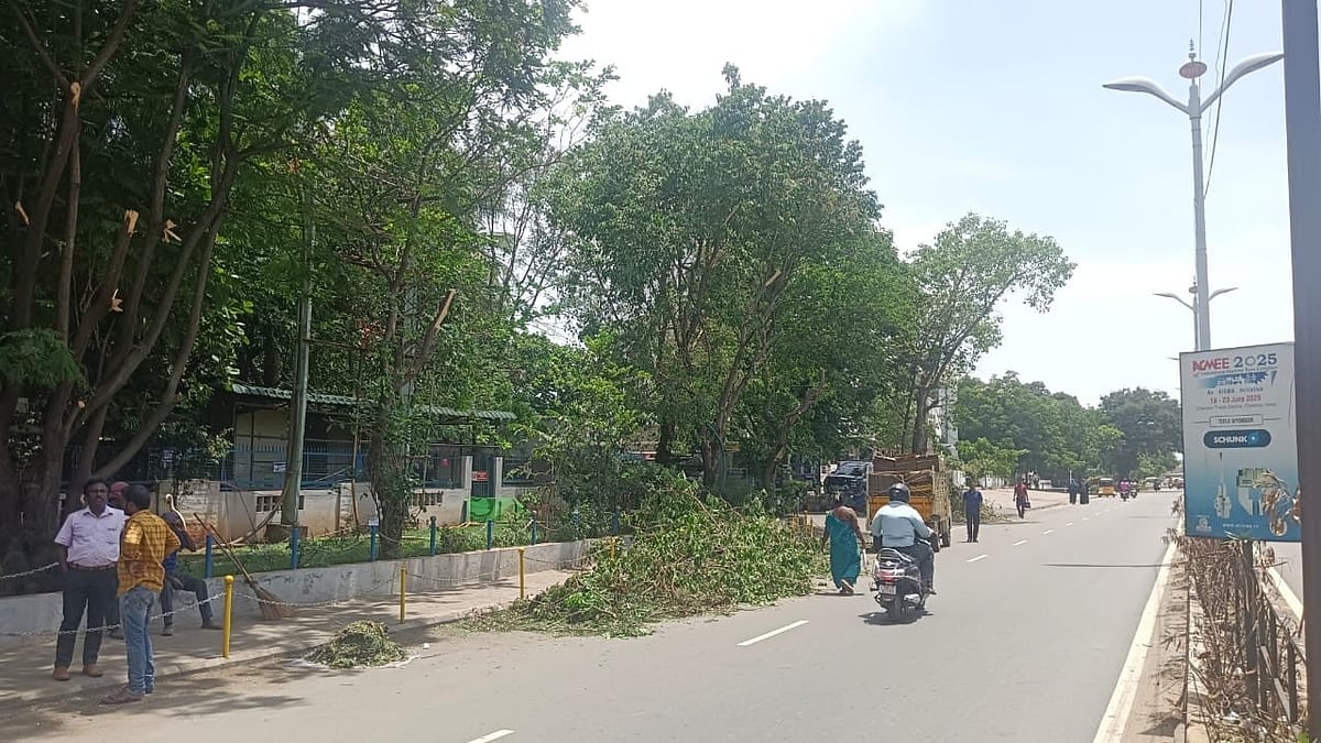 நிழலுக்கு வெ(வே)ட்டு!