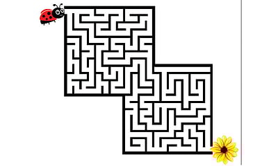 வழி கா‌ட்டு‌ங்​க‌ள்...