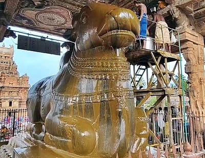 சனி பிரதோஷம்: தஞ்சை பெரிய கோயிலில் ஆயிரக்கணக்கான பக்தர்கள் பங்கேற்பு!