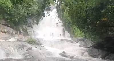 கோவை குற்றாலம் தற்காலிக மூடல்: வனத்துறை அறிவிப்பு