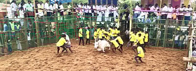 புதுக்கோட்டை: சுந்தர‌சோழபுரம் மலையப்பெருமாள்  கோயில் திருவிழாவில் ஜல்லிக்கட்டு