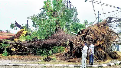 கேரளத்தில் 11 மாவட்டங்களுக்கு சிவப்பு எச்சரிக்கை: பள்ளிகளுக்கும் விடுமுறை அறிவிப்பு 