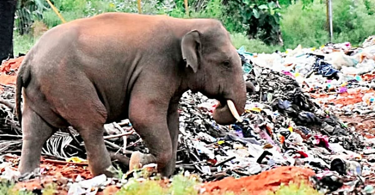 முயன்றால் முடியும்!