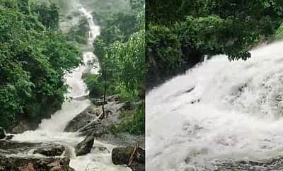 கனமழை: கோவை குற்றாலத்தில் காட்டாற்று வெள்ளம்!