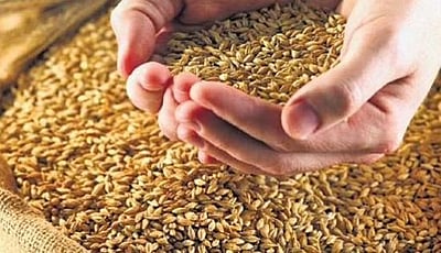 கோதுமை கையிருப்பு கட்டுப்பாடு: 
 2026 மாா்ச் வரை நீட்டிப்பு