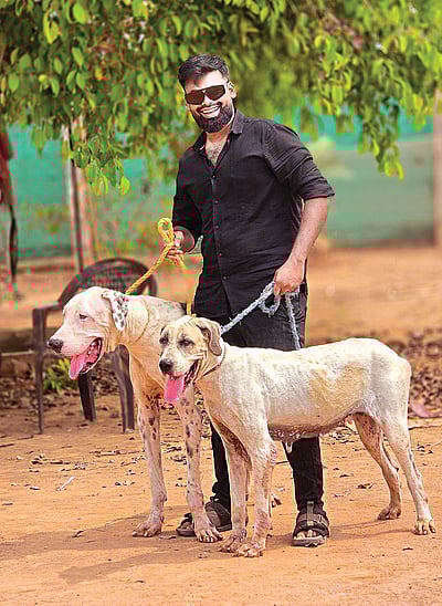 மீண்டு(ம்)  வந்த அலங்கு..