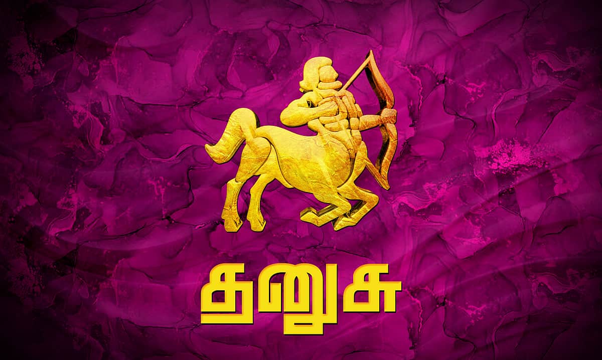 ஆங்கிலப் புத்தாண்டு பலன்கள் 2026: தனுசு