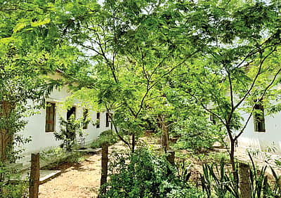அறிவியல் பரப்பும் ஆரோவில் ஸ்டெம்லேண்ட்
