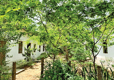 அறிவியல் பரப்பும் ஆரோவில் ஸ்டெம்லேண்ட்