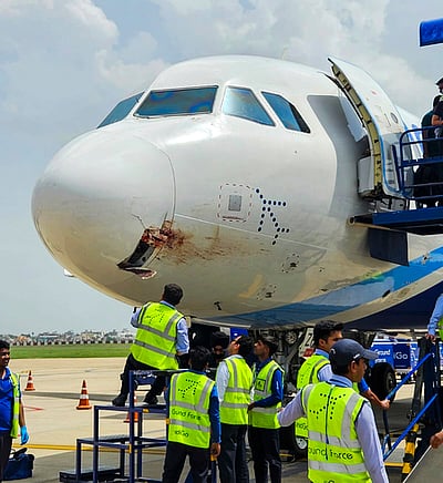 நடுவானில் பறவை மோதியதால் விமானம் சேதம்: ராஞ்சியில் அவசரமாக தரையிறக்கம்