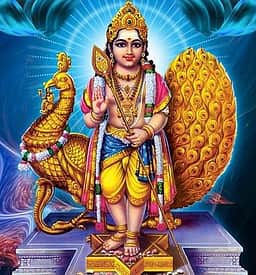 முருகனுக்கு உகந்த ஆடிக் கிருத்திகை... இரண்டுபட்டு வருவதால் குழப்பம்!