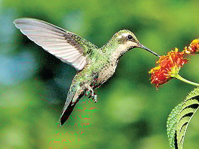 தெரியுமா?