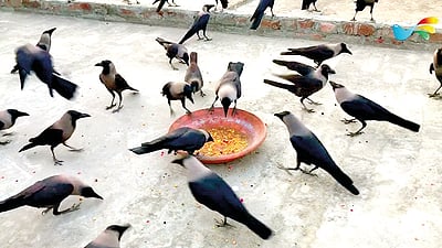 உண்ணும் உணவில்...