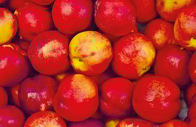 ஆப்பிள் எனும் அருமருந்து...