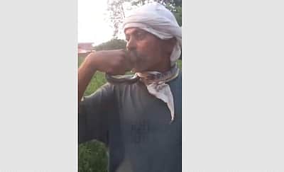 உ.பி.யில் முத்தமிட்டு விளையாடிய நபரின் நாக்கை கடித்த பாம்பு !  