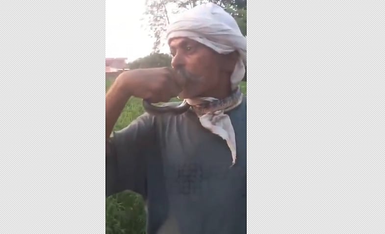 உ.பி.யில் முத்தமிட்டு விளையாடிய நபரின் நாக்கை கடித்த பாம்பு !  