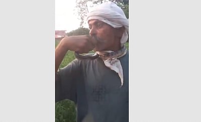 உ.பி.யில் முத்தமிட்டு விளையாடிய நபரின் நாக்கை கடித்த பாம்பு !  