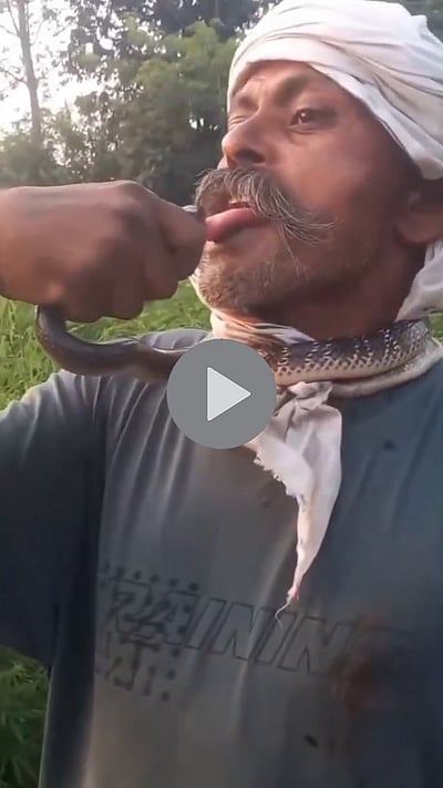 வாயில் கடித்த பாம்பு! பாம்பை கழுத்தில் சுற்றி விளையாடியவர் உயிருக்கு ஆபத்தான நிலையில் மருத்துவமனையில் அனுமதி 