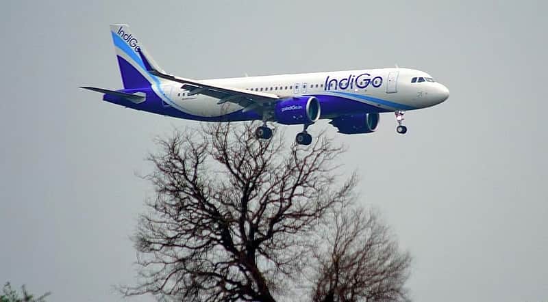 Indigo flight