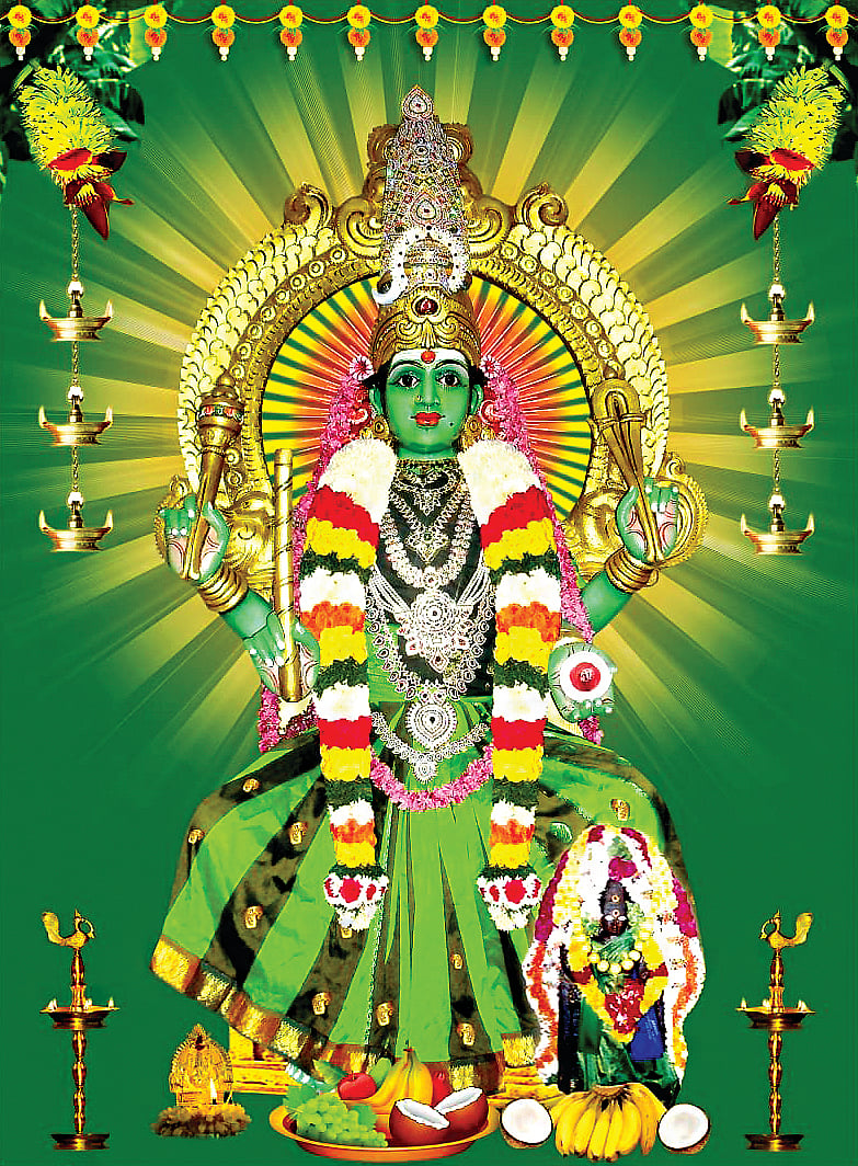 பச்சையம்மன் கோயில்களின் தாயகம்!