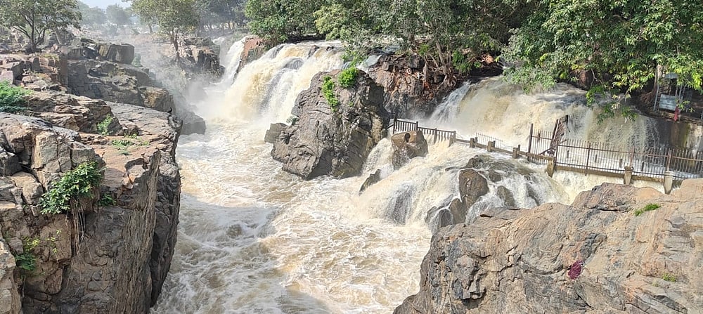 ஆர்ப்பரித்துக் கொட்டுகிறது ஒகேனக்கல்!: அருவிகளில் குளிக்க தடை 