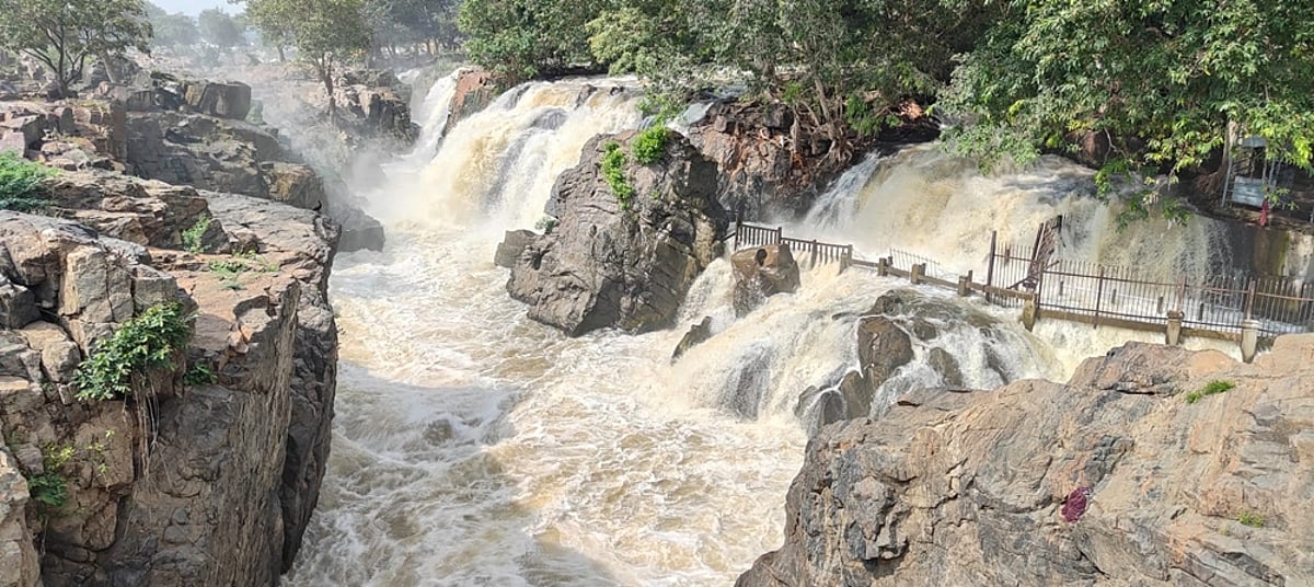 ஆர்ப்பரித்துக் கொட்டுகிறது ஒகேனக்கல்!: அருவிகளில் குளிக்க தடை