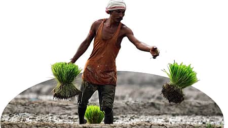 மீண்டும் குறைந்தது விவசாயிகளுக்கான சில்லறை பணவீக்கம் 