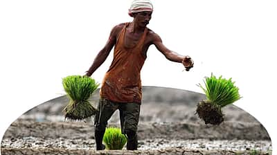 மீண்டும் குறைந்தது விவசாயிகளுக்கான சில்லறை பணவீக்கம் 