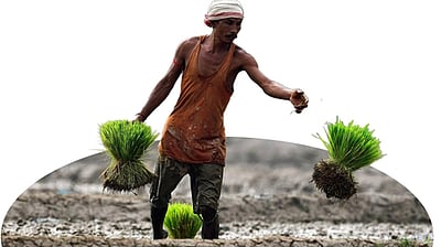 மீண்டும் குறைந்தது விவசாயிகளுக்கான சில்லறை பணவீக்கம் 