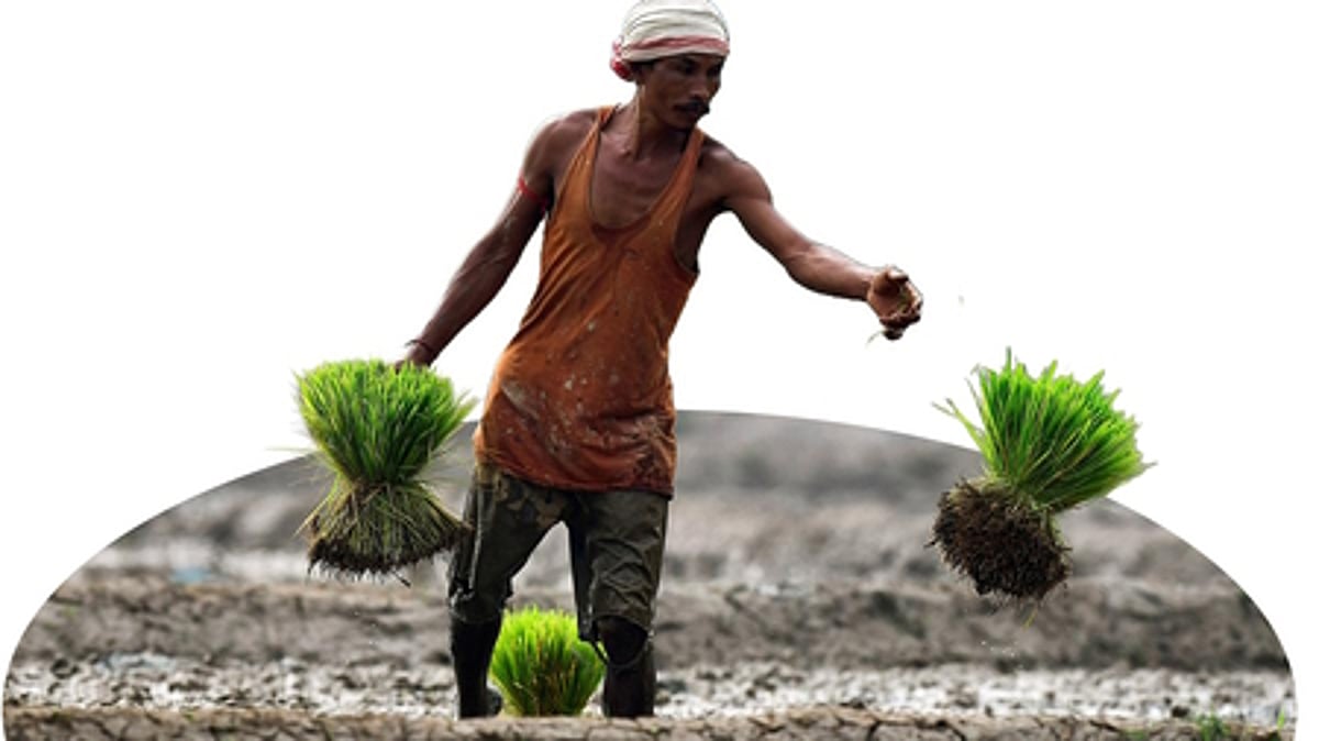 மீண்டும் குறைந்தது விவசாயிகளுக்கான சில்லறை பணவீக்கம்