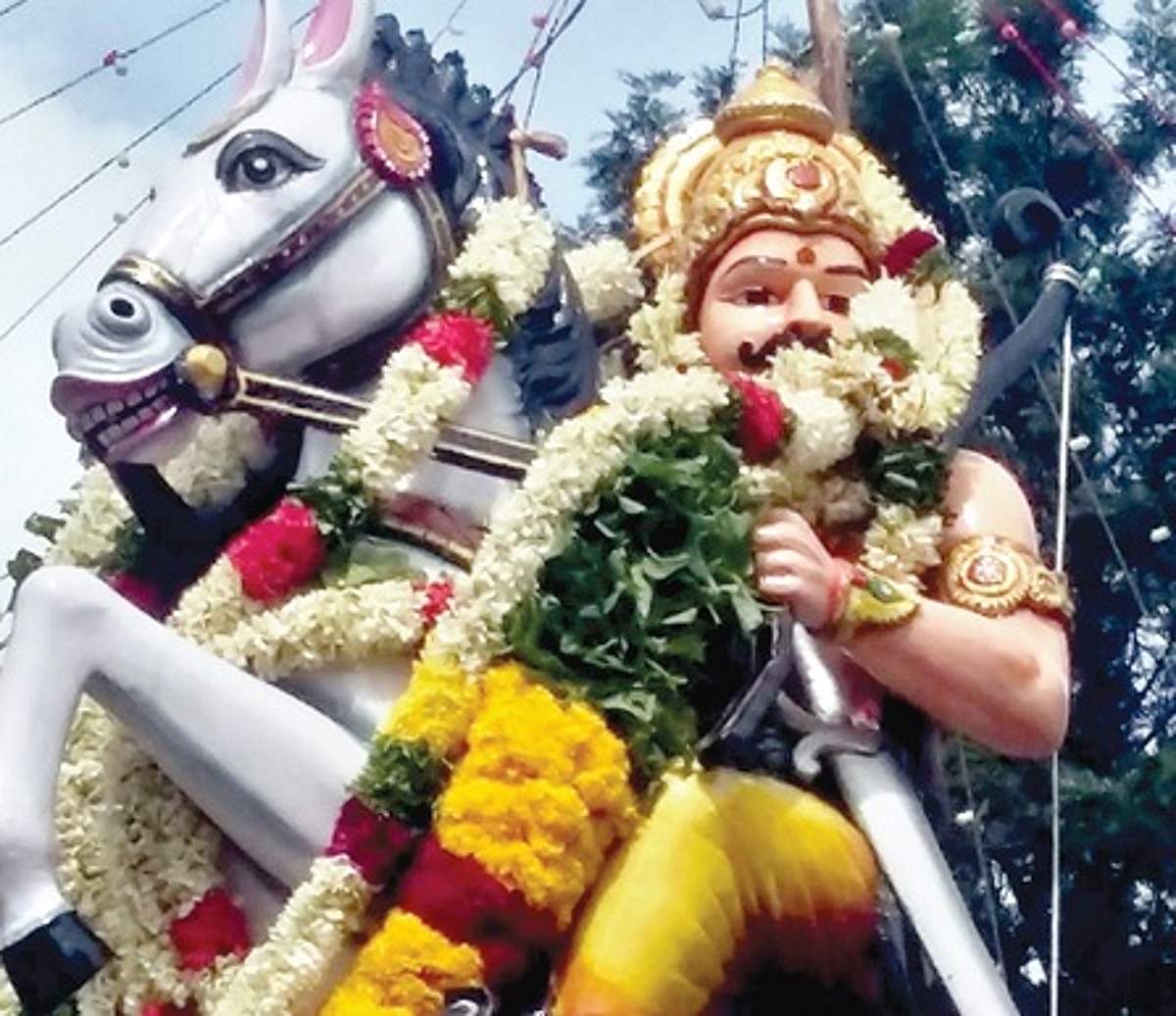 News image