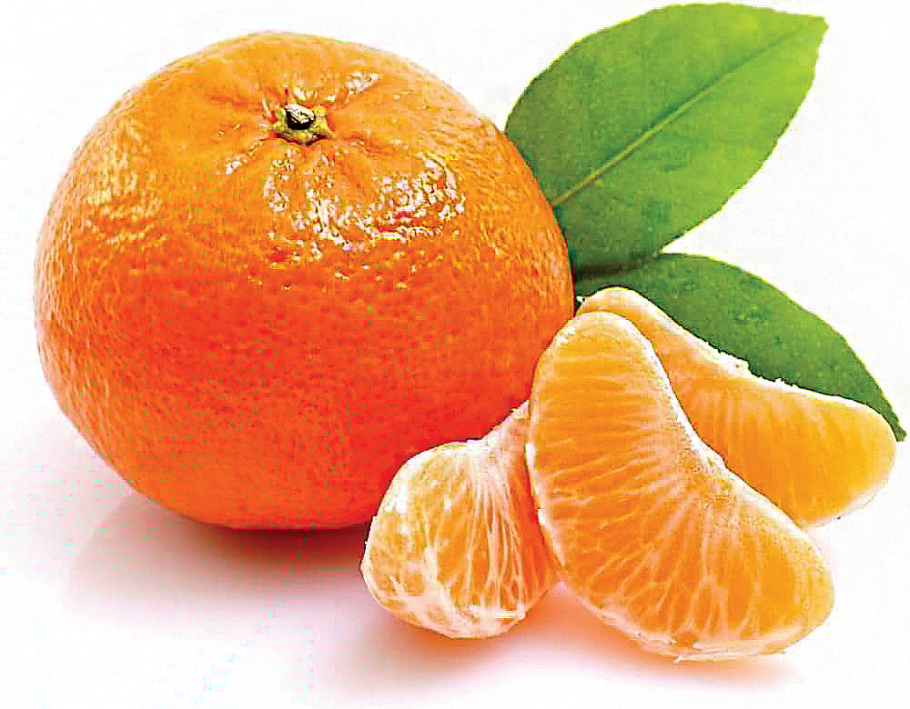 வீட்டு மருத்துவம்....