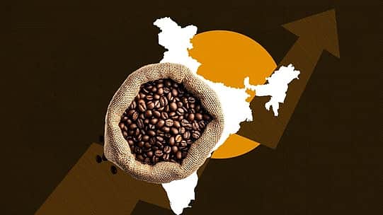 11 ஆண்டுகளில் 125% உயா்ந்த காபி ஏற்றுமதி