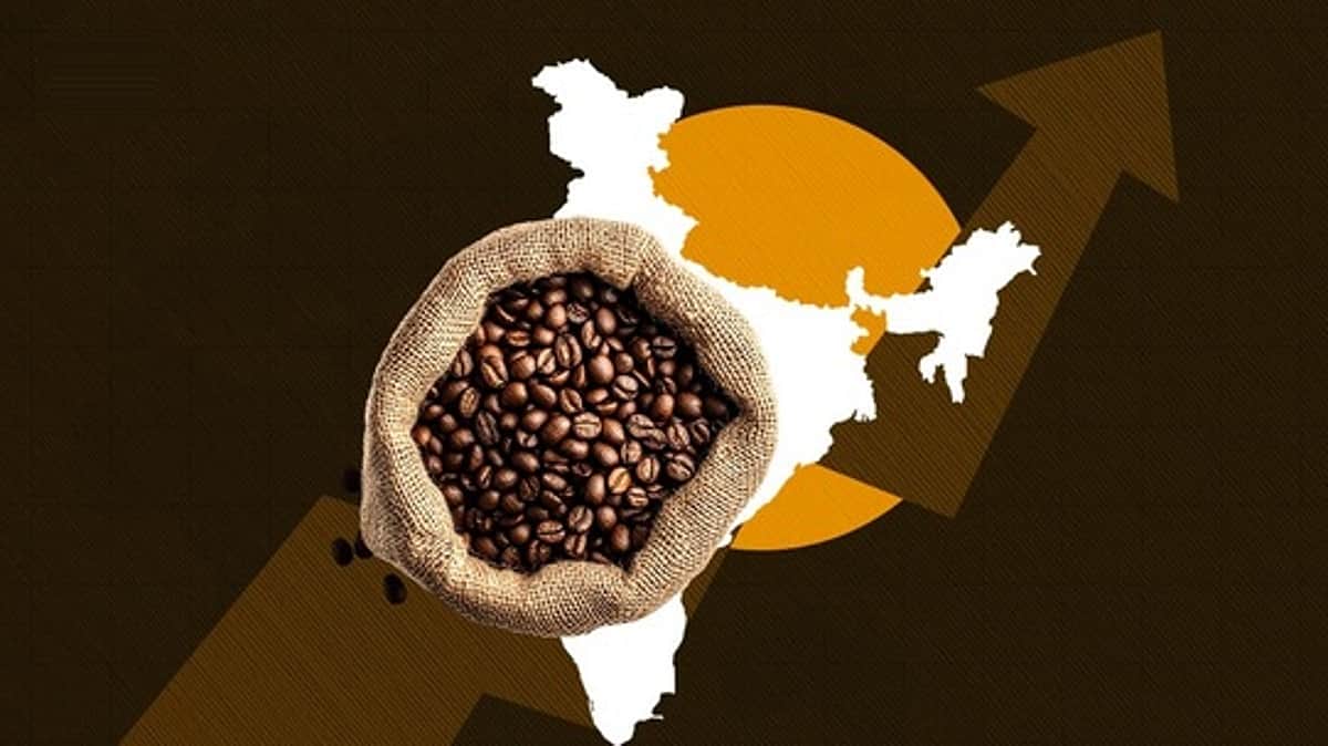 11 ஆண்டுகளில் 125% உயா்ந்த காபி ஏற்றுமதி