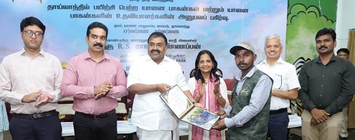 News image