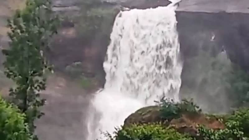 வால்பாறையில் கனமழை: நீர்வீழ்ச்சியில் ஆர்ப்பரித்து கொட்டும் நீர்!