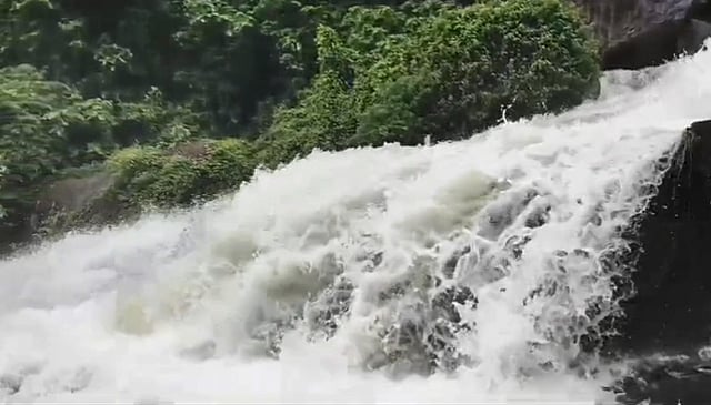 குற்றாலத்தில் வெள்ளப்பெருக்கு: சுற்றுலாப் பயணிகளுக்குத் தடை நீடிப்பு!