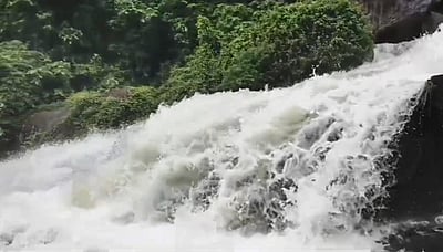 குற்றாலத்தில் வெள்ளப்பெருக்கு: சுற்றுலாப் பயணிகளுக்குத் தடை நீடிப்பு!