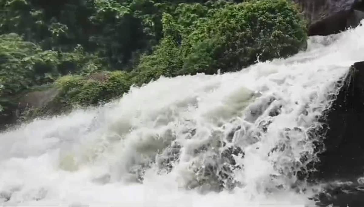 குற்றாலத்தில் வெள்ளப்பெருக்கு: சுற்றுலாப் பயணிகளுக்குத் தடை நீடிப்பு!