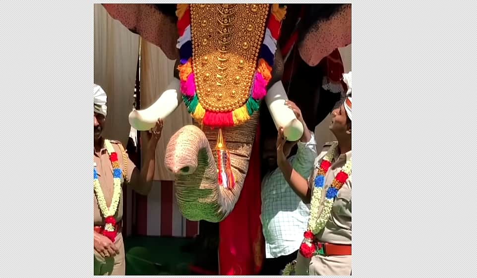 அருப்புக்கோட்டை விநாயகர் கோயிலுக்கு இயந்திர யானை வழங்கிய நடிகை திரிஷா !  