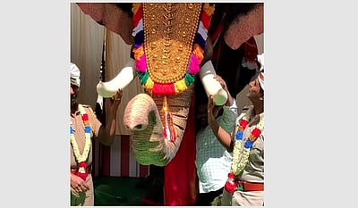 அருப்புக்கோட்டை விநாயகர் கோயிலுக்கு இயந்திர யானை வழங்கிய நடிகை திரிஷா !  