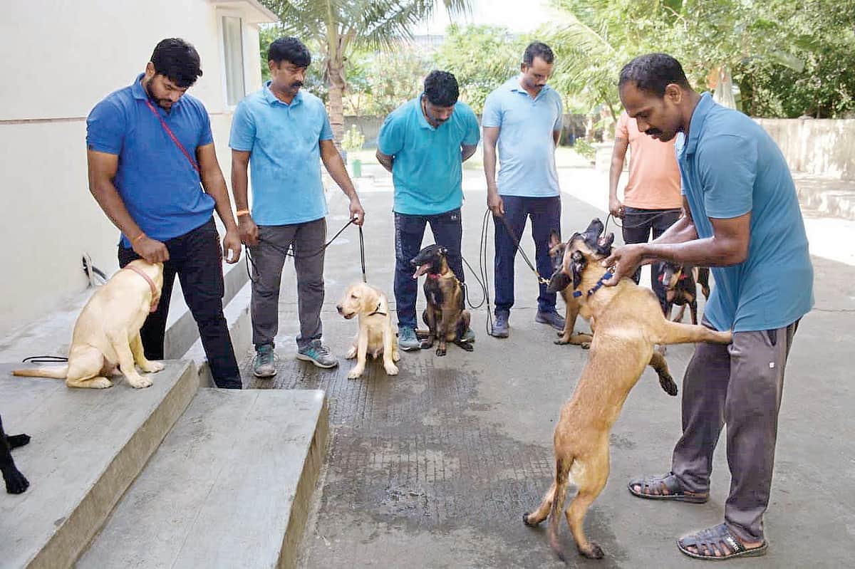 மோப்ப நாய்கள் பராக்...பராக்..!