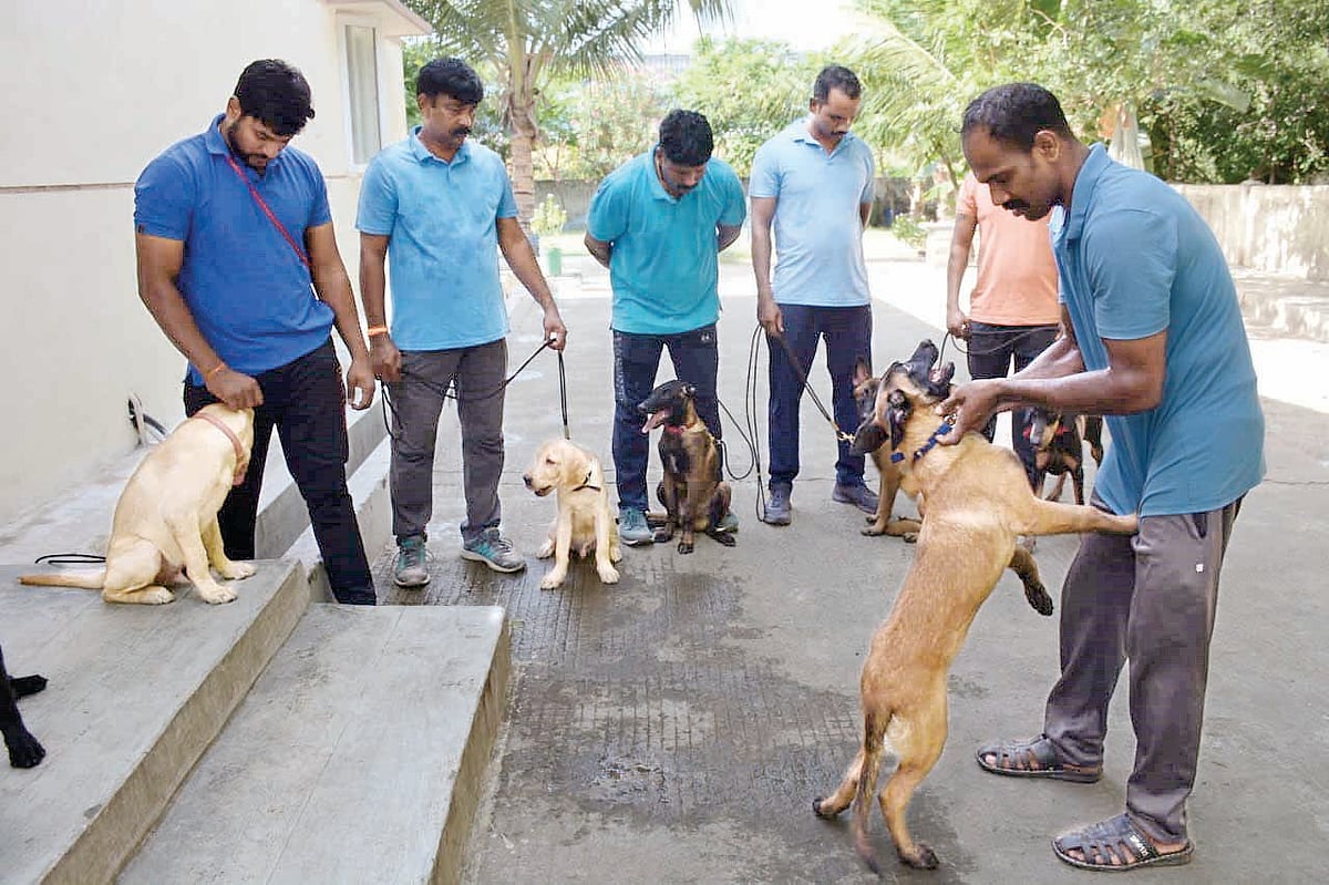 மோப்ப நாய்கள் பராக்...பராக்..!