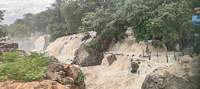 ஒகேனக்கல்லுக்கு நீா்வரத்து 
50,000 கனஅடியாக அதிகரிப்பு