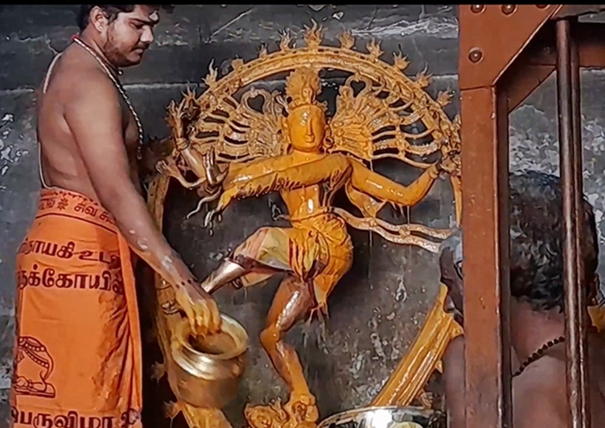 ஆனித் திருமஞ்சனம்: தஞ்சை பெரிய கோயிலில் நடராஜருக்கு சிறப்பு அபிஷேகம்!