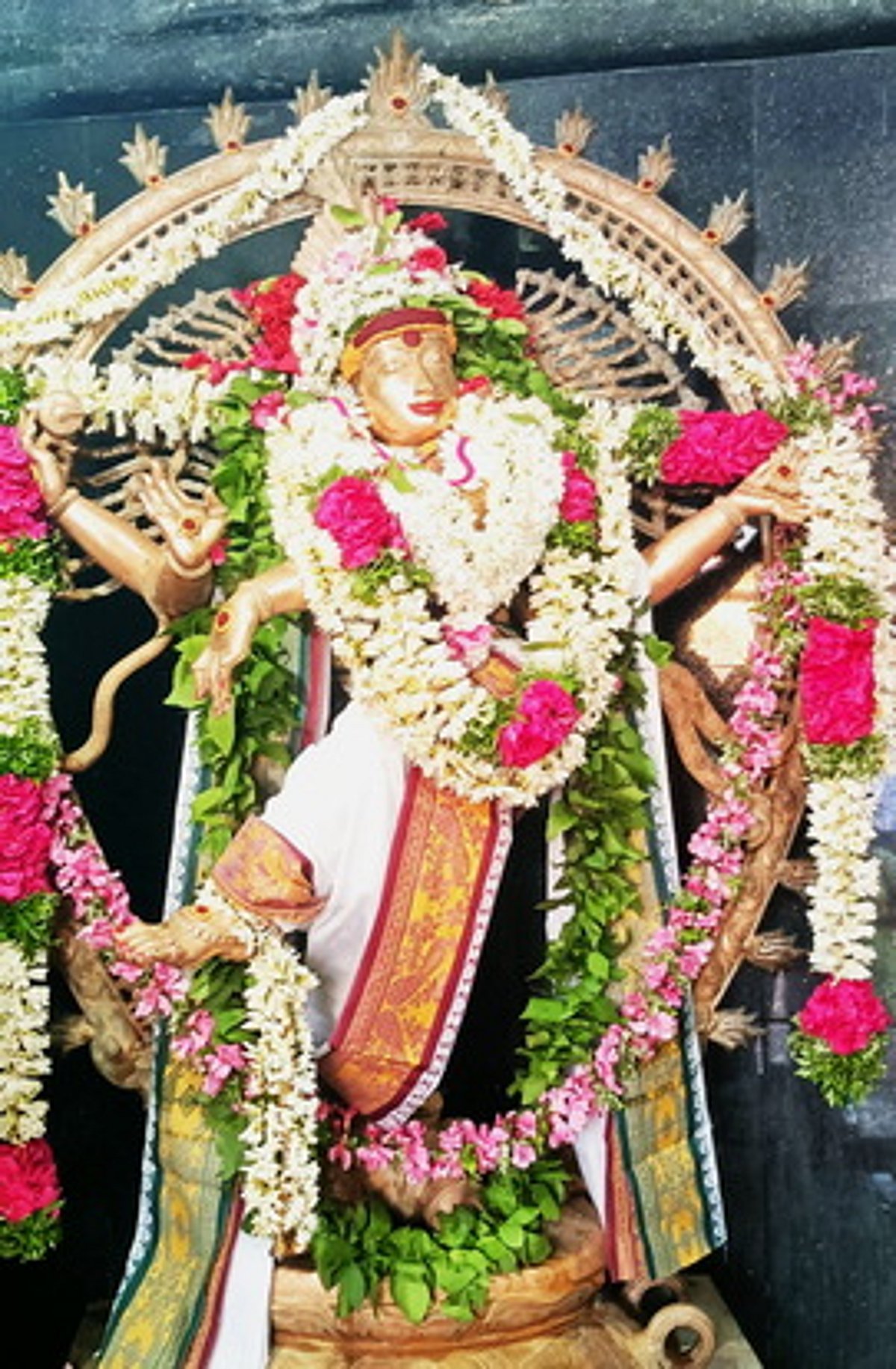 காரைக்கால் கோயில்களில்
நடராஜருக்கு சிறப்பு அபிஷேகம்