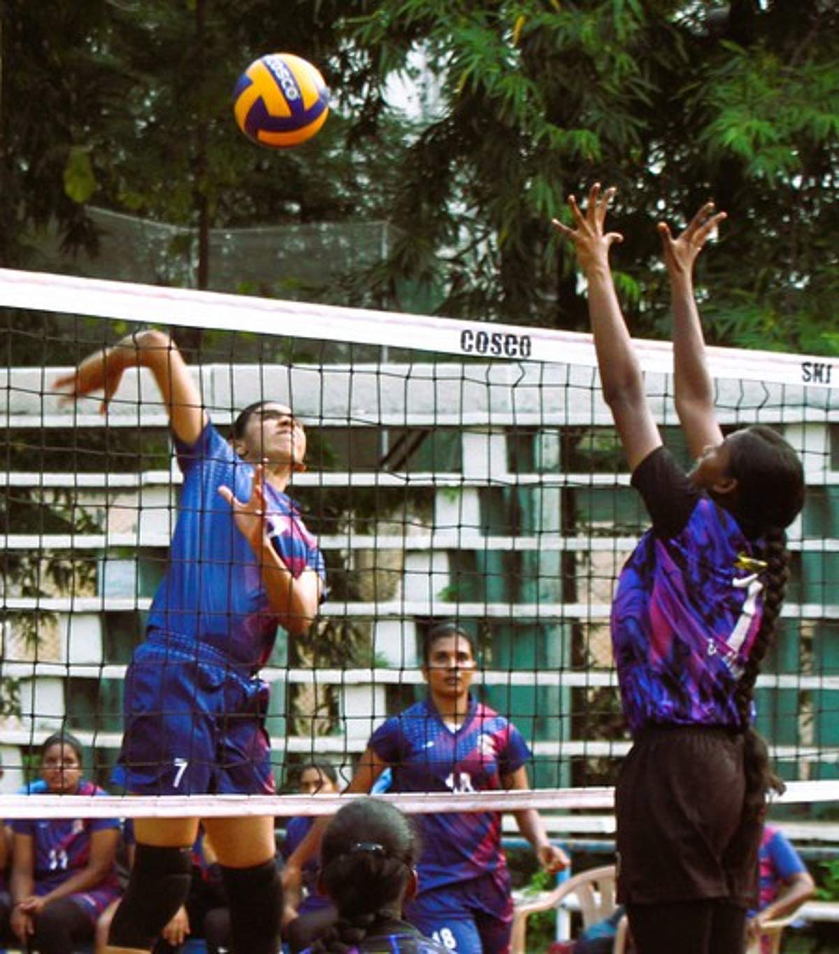 News image